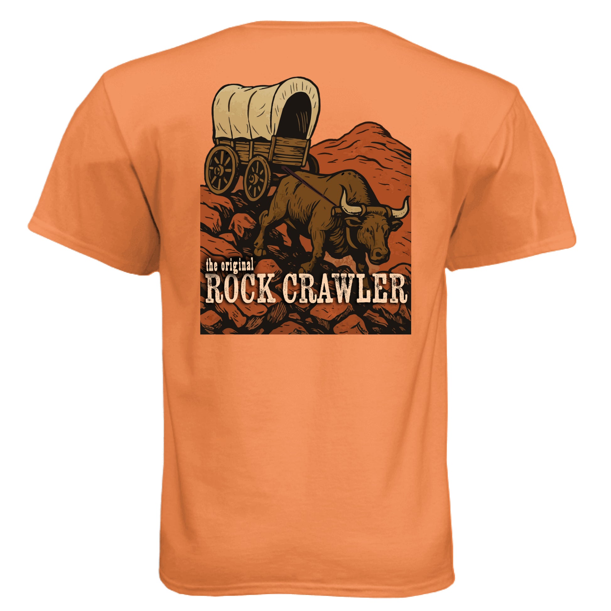 Orange - BACK